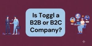 Is Toggl a B2B or B2C Company?