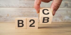 Is Newsifier.com a B2B or B2C Company?