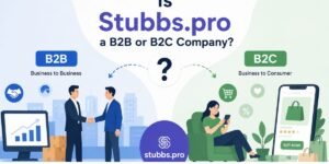 Is Stubbs.pro a B2B or B2C Company?