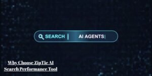 Why Choose ZipTie AI Search Performance Tool? Saascentury